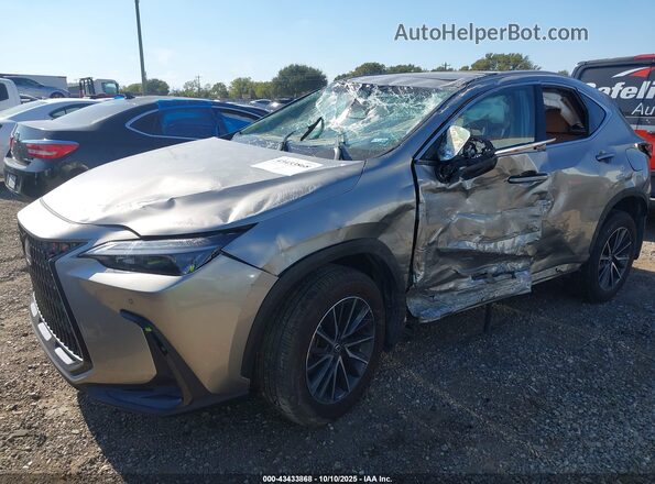 2T2GKCEZXSC047171 2025 LEXUS NX 350H Gray Vista frontal