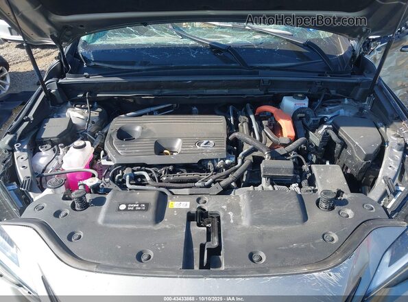 2T2GKCEZXSC047171 2025 LEXUS NX 350H Gray Vista trasera