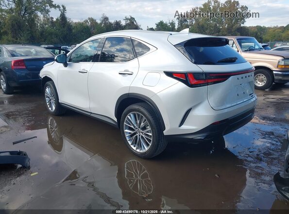 2T2HGCEZ5SC080407 2025 LEXUS NX 350 White Հետևի ձախ