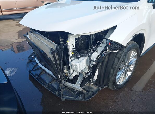 2T2HGCEZ5SC080407 2025 LEXUS NX 350 White Դիմացի տեսք