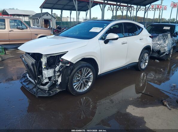 2T2HGCEZ5SC080407 2025 LEXUS NX 350 White Առջևի ձախ երեք քառորդ տեսարան