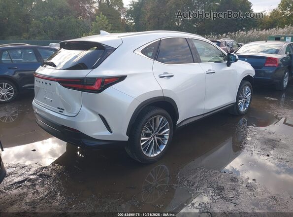 2T2HGCEZ5SC080407 2025 LEXUS NX 350 White Հետևի աջ