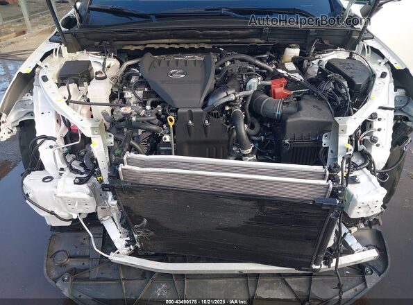 2T2HGCEZ5SC080407 2025 LEXUS NX 350 White Հետևի տեսք