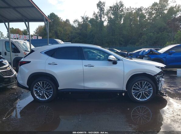 2T2HGCEZ5SC080407 2025 LEXUS NX 350 White Սալոնի հետևի տեսք