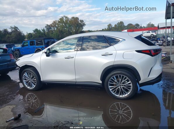 2T2HGCEZ5SC080407 2025 LEXUS NX 350 White Սալոնի 360 աստիճան տեսք