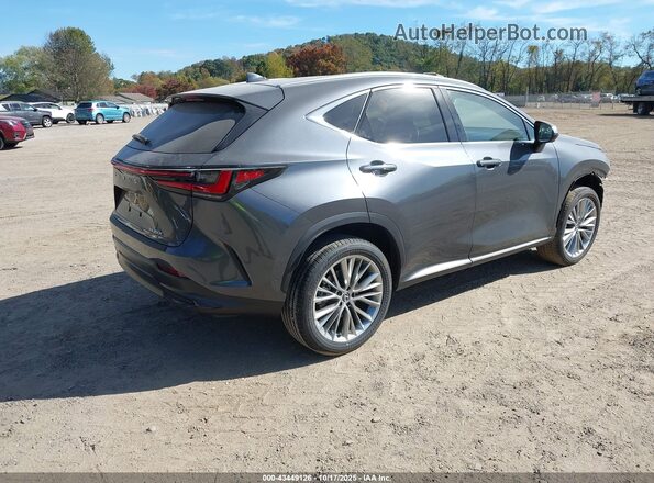 2T2HKCEZ1SC053235 2025 LEXUS NX 350H Gray Trasero derecho
