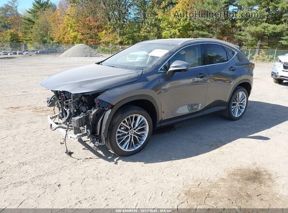 2T2HKCEZ1SC053235 2025 LEXUS NX 350H Gray Vista tres cuartos delantera izquierda