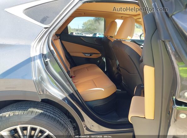 2T2HKCEZ1SC053235 2025 LEXUS NX 350H Gray Vista de la etiqueta del VIN