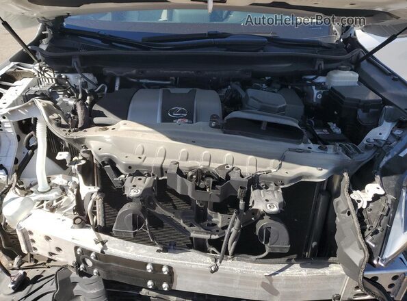 2T2HZMDA2LC253278 2020 LEXUS RX White Շարժիչի բաժամունքի տեսք