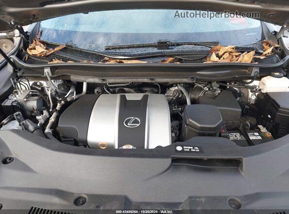 2T2HZMDA6LC245622 2020 LEXUS RX 350 Gold Widok z tyłu