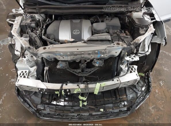 2T2YZMDA0LC252307 2020 LEXUS RX 350 Белый Вид сзади