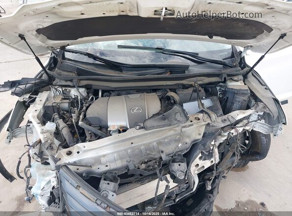2T2ZZMCA8KC134641 2019 LEXUS RX 350 White Rear view