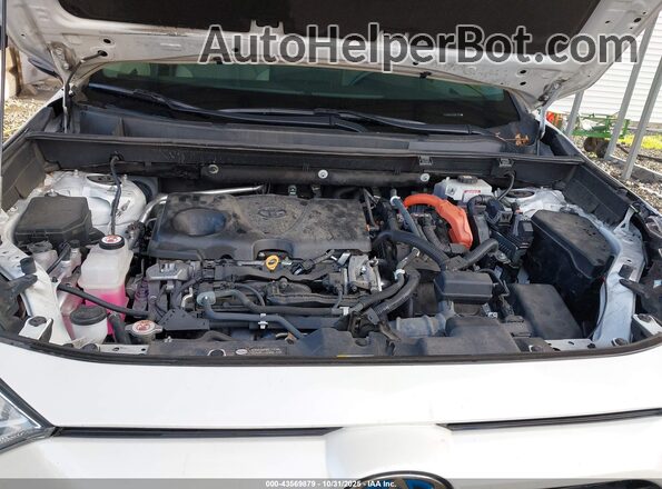 2T3B6RFV4MW023894 2021 TOYOTA LE White Vista trasera