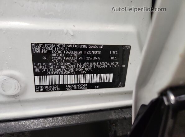 2T3EWRFV2LW097729 2020 TOYOTA RAV4 White Vista de la etiqueta del VIN