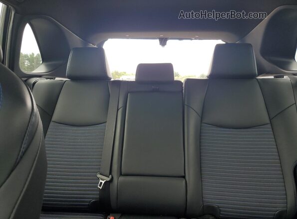 2T3EWRFV6LW058190 2020 TOYOTA RAV4 Gray Vista de los asientos traseros