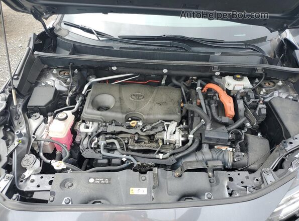 2T3EWRFV6LW058190 2020 TOYOTA RAV4 Gray Vista del compartimento del motor
