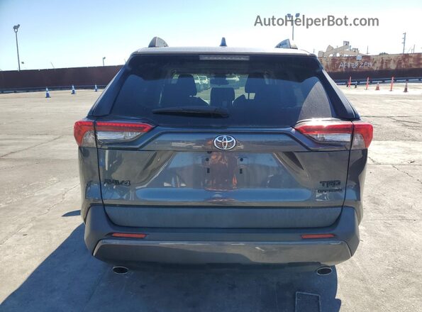 2T3J1RFV6LC098428 2020 TOYOTA RAV4 Charcoal უკანა ხედი