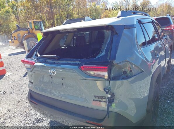 2T3J1RFV9LC089660 2020 TOYOTA RAV4 Green 