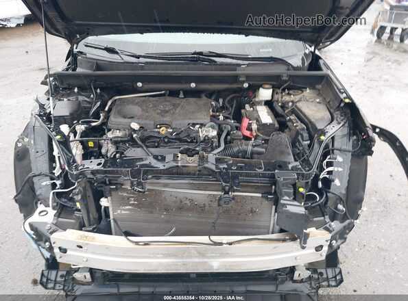 2T3N1RFV8PC325741 2023 TOYOTA LIMITED Черный Вид сзади