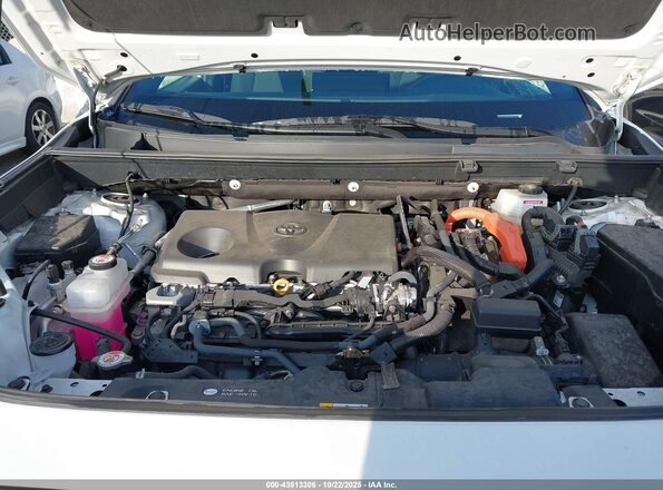 2T3T6RFV5PW044858 2023 TOYOTA RAV4 HYBRID White Հետևի տեսք