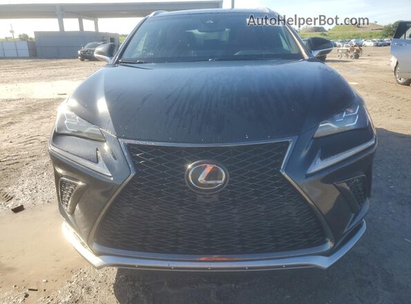 JTJYARBZ0K2123219 2019 LEXUS NX Black Vista trasera