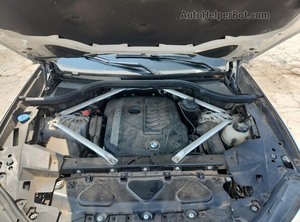5UXCR6C00L9C65486 2020 BMW X5 White Вид наклейки з VIN-кодом