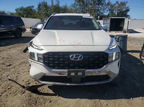5NMS2DAJ9PH609342 2023 HYUNDAI SANTA FE White Widok z tyłu