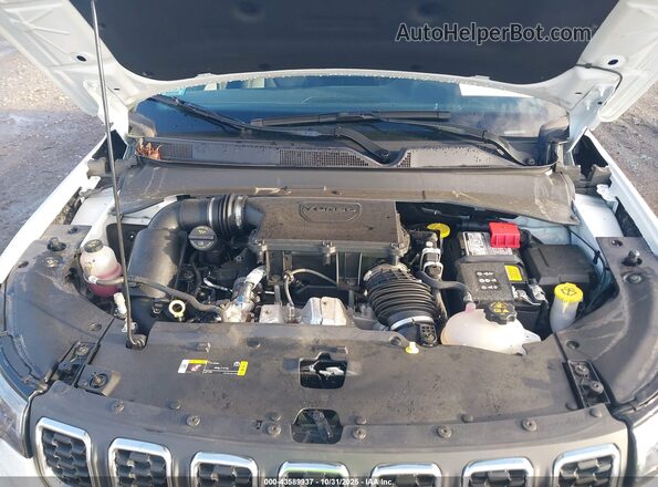 3C4NJDFN8RT104135 2024 JEEP COMPASS White Вид ззаду