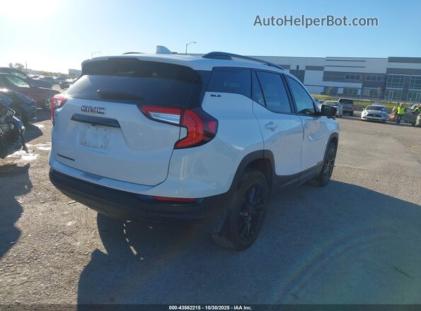 3GKALMEG7RL301703 2024 GMC TERRAIN White Trasero derecho