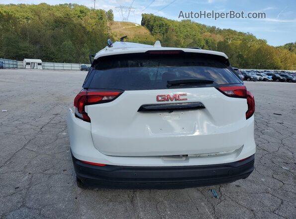 3GKALMEV1LL164912 2020 GMC TERRAIN White Հետևի տեսք