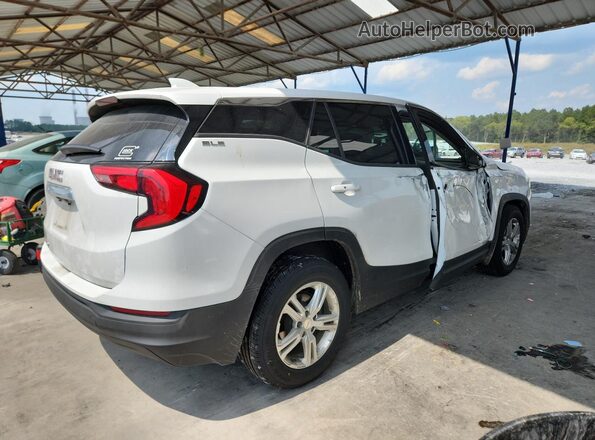3GKALMEV2LL114410 2020 GMC TERRAIN Белый Задняя правая четверть
