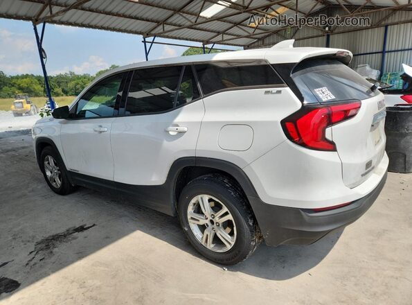 3GKALMEV2LL114410 2020 GMC TERRAIN Белый Задняя левая четверть