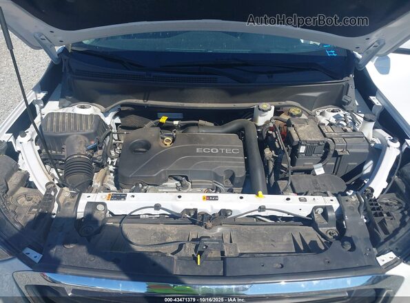 3GKALMEV7LL297867 2020 GMC TERRAIN Белый Вид сзади