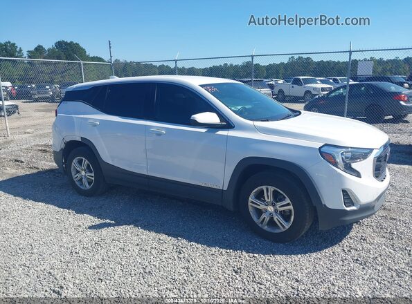 3GKALMEV7LL297867 2020 GMC TERRAIN Белый Вид задней части салона