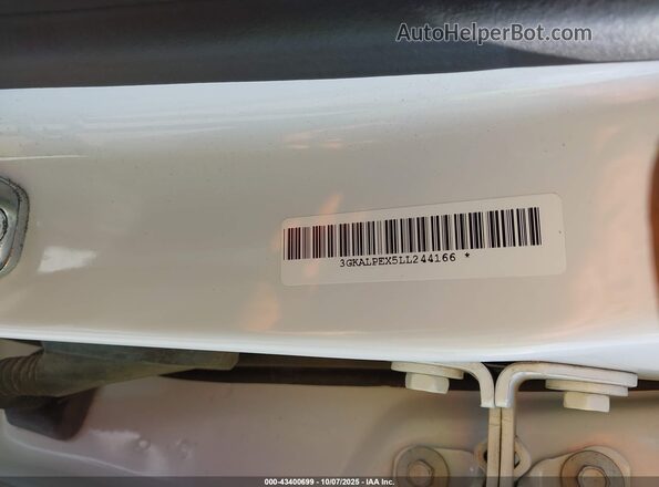 3GKALPEX5LL244166 2020 GMC TERRAIN Black Widok tylnych siedzeń