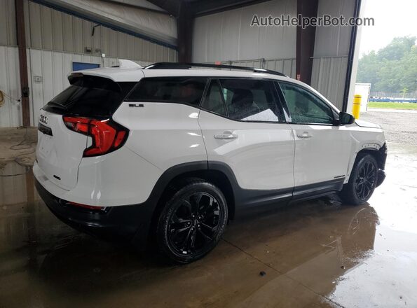 3GKALTEV6LL207974 2020 GMC TERRAIN White უკანა მარჯვენა