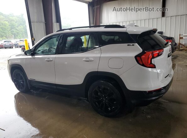 3GKALTEV6LL207974 2020 GMC TERRAIN White უკანა მარცხენა
