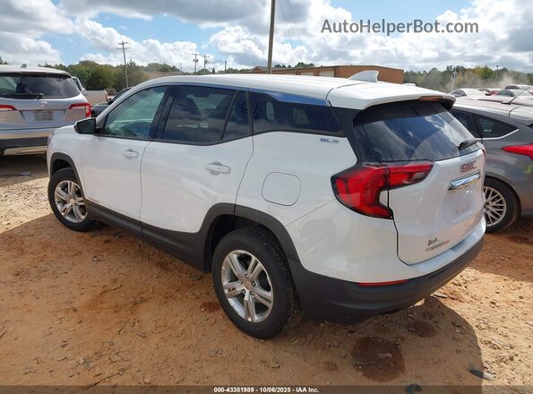 3GKALTEV6LL226900 2020 GMC TERRAIN White Tył lewy