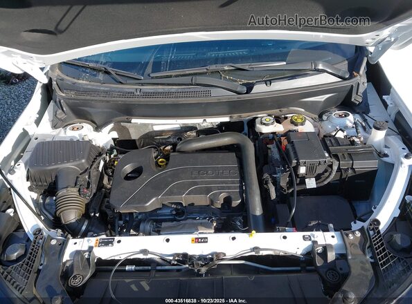 3GKALYEGXPL252677 2023 GMC TERRAIN Белый Вид сзади