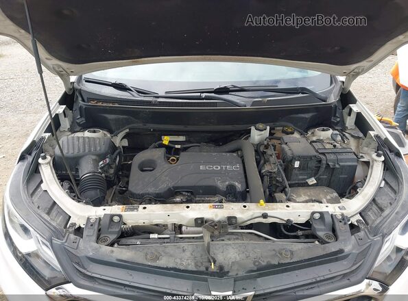 3GNAXHEV3LS689734 2020 CHEVROLET EQUINOX White Widok z tyłu