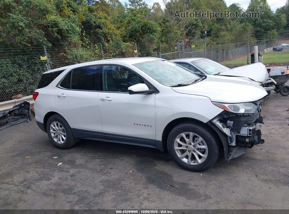 3GNAXKEV4LS645657 2020 CHEVROLET EQUINOX White უკანა სალონის ხედი