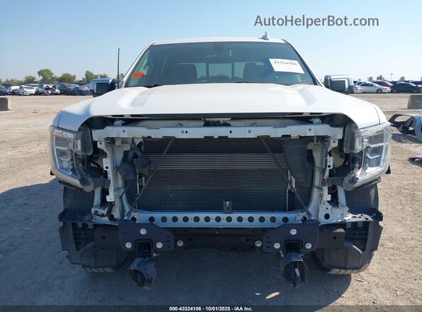 3GTP8DED4LG274151 2020 GMC SIERRA White Widok wnętrza z tyłu