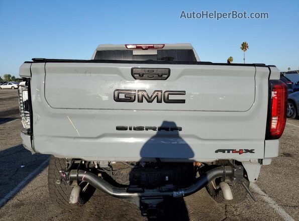 3GTUUFE88RG128289 2024 GMC SIERRA Серый Вид сзади