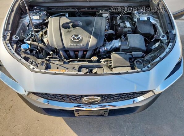 3MVDMABL2MM251171 2021 MAZDA CX-30 Silver Вид задньої частини салону