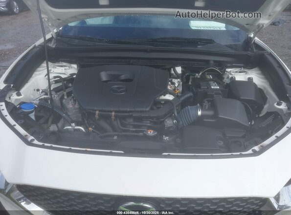 3MVDMBBM2PM510082 2023 MAZDA CX-30 White Հետևի տեսք