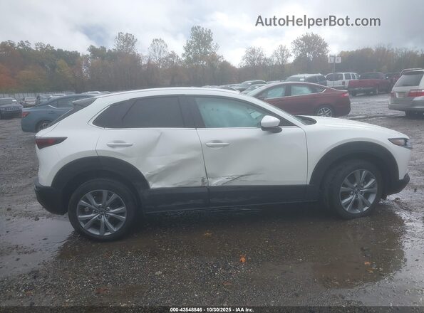 3MVDMBBM2PM510082 2023 MAZDA CX-30 White Սալոնի հետևի տեսք