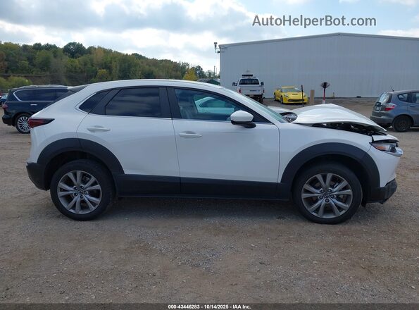 3MVDMBCLXMM240505 2021 MAZDA CX-30 White Rear interior view