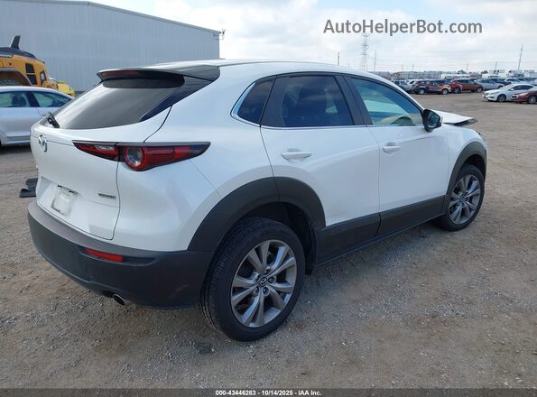 3MVDMBCLXMM240505 2021 MAZDA CX-30 White Rear right