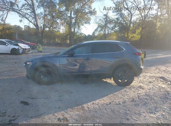 3MVDMBCM2RM637027 2024 MAZDA CX-30 Gray Սալոնի հետևի տեսք