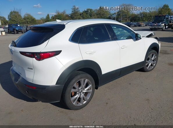 3MVDMBDL8MM310498 2021 MAZDA CX-30 White Հետևի աջ